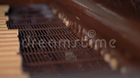 工厂设备用巧克力覆盖糖果贴身视频的预览图