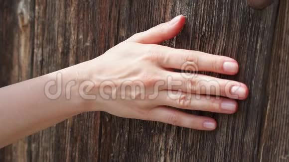 女人用手缓慢地靠在旧木门上女性手触摸粗糙的木头表面视频的预览图