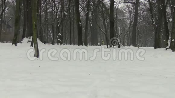 冬天公园里的人视频的预览图