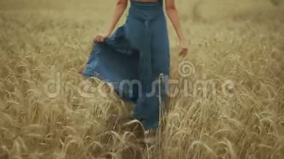 一位金发碧眼的年轻女子穿着蓝色长裙走过金色麦田然后转过身来视频的预览图
