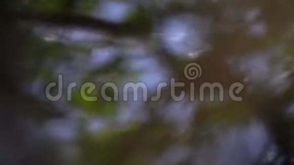 园区抽象水面反射视频的预览图