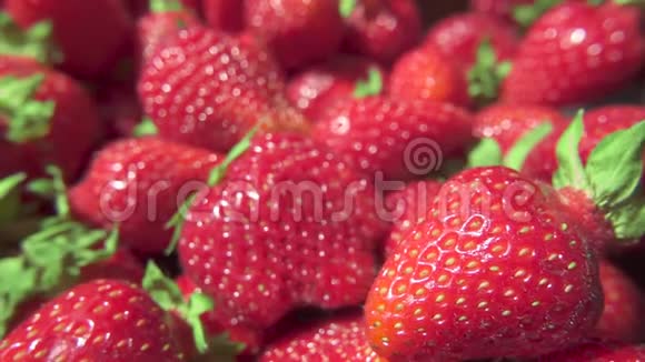 相机在草莓上缓慢移动视频的预览图