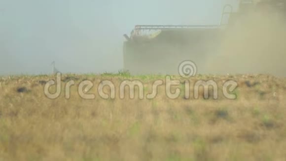 鹳在收割小麦后漫步田野视频的预览图