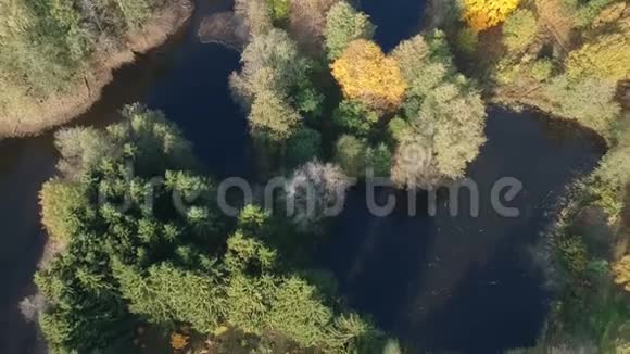 有湖泊森林和木路的景观空中视频的预览图