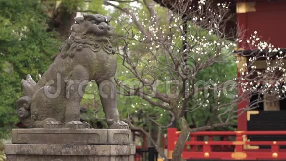 东京内祖神社GuardefoxKITSUNE视频的预览图