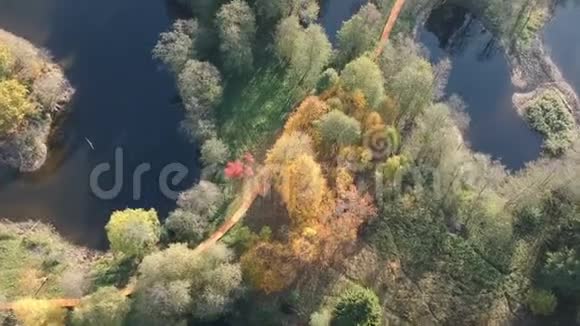 带有湖泊森林和木路的自然公园景观空中视频的预览图