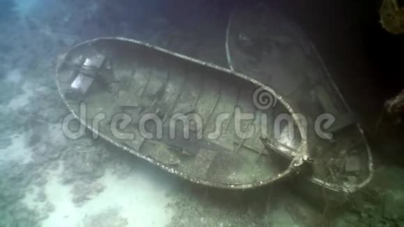 沉没船附近沉船塞勒姆快车深水下红海埃及视频的预览图