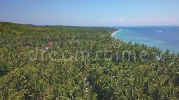 用无人驾驶飞机在印度尼西亚巴厘岛努沙佩尼达热带岛屿上空进行空中射击那里有美丽的棕榈树热带雨林和绿松石海视频的预览图