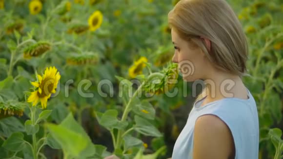 一位身穿蓝色连衣裙的年轻女子站在不平坦的田野上享受大自然慢镜头视频的预览图