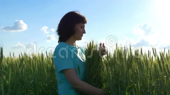 女孩拥抱小麦小穗视频的预览图