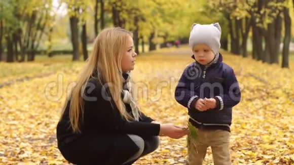 孩子在秋天公园里轻轻地拥抱她的母亲视频的预览图