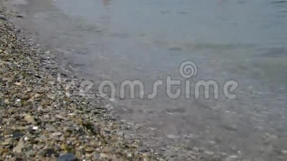 有波浪t的海滩视频的预览图