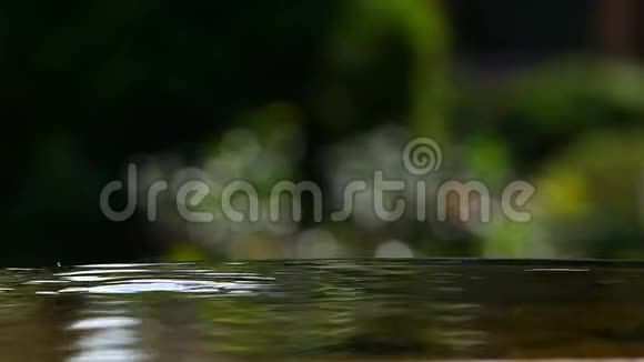 秋叶游泳高清镜头视频的预览图