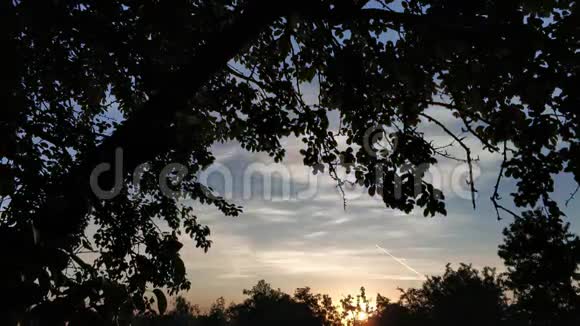 夏季日落时间流逝循环视频的预览图