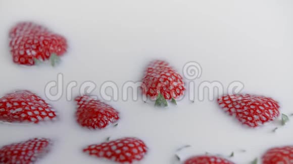 成熟的草莓落在牛奶奶油里夏季浆果白色液体视频的预览图