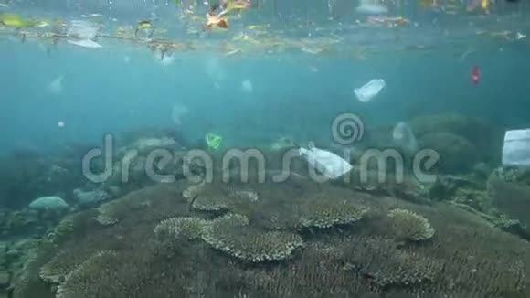 塑料袋和其他漂浮在水下的垃圾视频的预览图