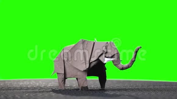 绿色屏幕上的大象折纸微型视频的预览图