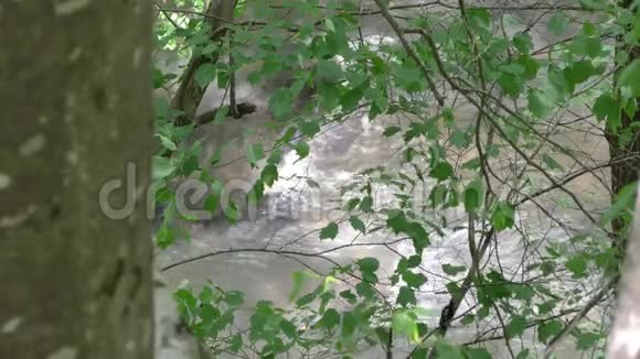 佐治亚州大溪从一个俯瞰岩石的悬崖上看到大溪上的急流视频的预览图