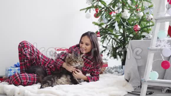 年轻美丽快乐的女人躺在圣诞树旁边在地毯上和缅因州的浣熊猫玩耍慢动作视频的预览图