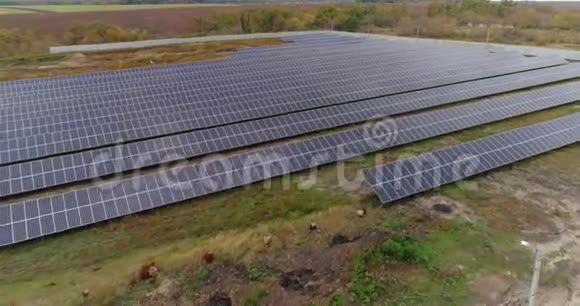 太阳能电池板鸟瞰图农业领域旁边的太阳能电池板可再生能源视频的预览图