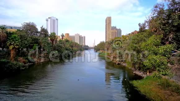 开罗尼罗河畔的绿意视频的预览图