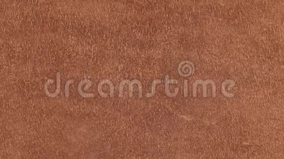 天然绒面革的轮作棕色麂皮纹理蓬松柔软的湿毛视频的预览图