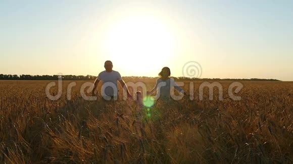 幸福的一家三口人在日落时在田野里跑来跑去视频的预览图
