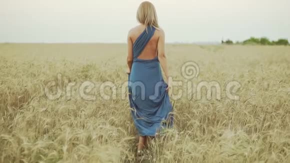 在金色麦田里走过的金发碧眼的女人的背影自由视频的预览图