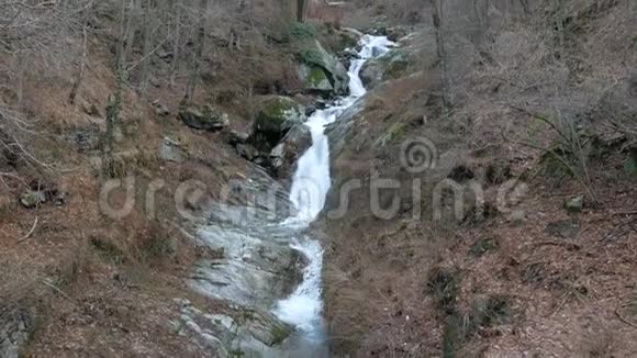 高山风景区的小河瀑布视频的预览图