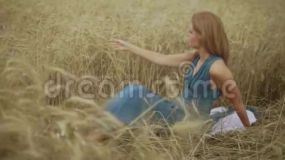 迷人的年轻女子坐在金色的麦田里她的手在摸麦穗收获概念收获视频的预览图