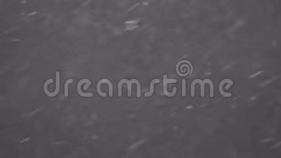 雨或降雪的概念落在黑色背景下的雨滴或雪视频的预览图