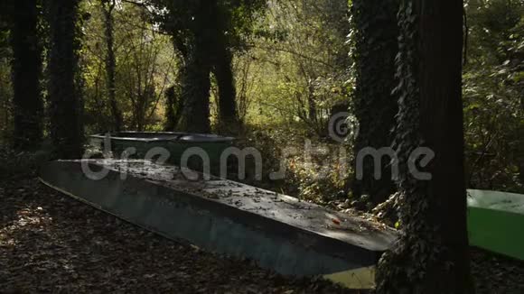 被遗弃的小船搁浅在森林里的自然公园里视频的预览图