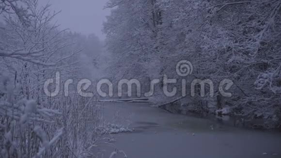 瑞典卡特里霍姆雪蓝黄昏美丽自然景观视频视频的预览图