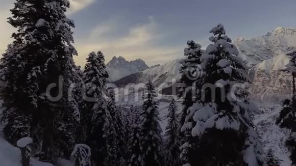 霜林雪山美丽山脉的迷人冬季景观视频的预览图