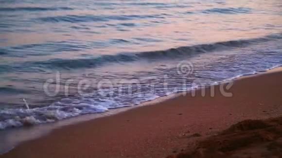 平静的傍晚海浪拍打在沙质海岸特写视频的预览图