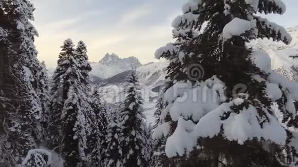 霜林雪山美丽的山峦的奇妙冬季景观视频的预览图