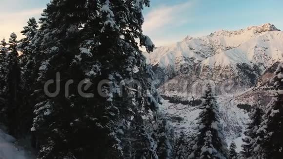白雪皑皑的松树和奇山的奇妙冬景视频的预览图