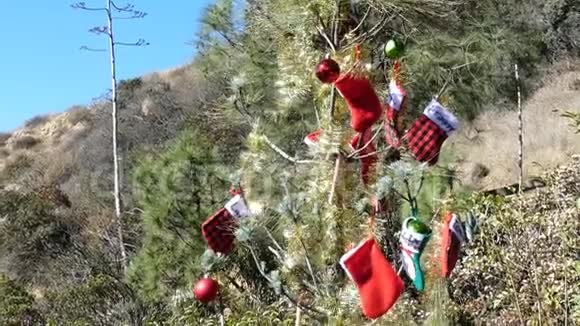 但丁景树上的圣诞装饰视频的预览图