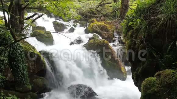 潮湿的热带森林中的瀑布暴风骤雨的河流干净的水上升泡沫暴风雨的小溪视频的预览图