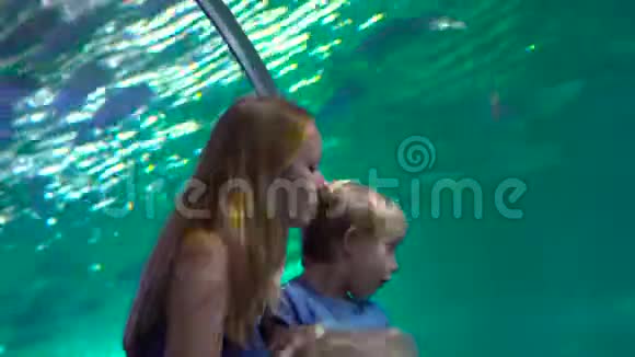 家庭参观海洋馆一个女人和她的儿子走在水族馆的管道里看鱼视频的预览图