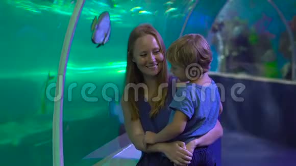 家庭参观海洋馆一个女人和她的儿子走在水族馆的管道里看鱼视频的预览图
