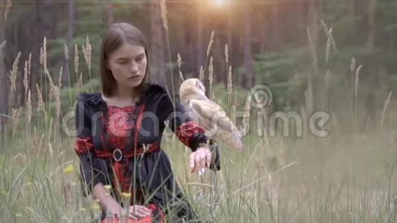 美丽的猫头鹰轻盈的羽毛坐在一个女孩的手上穿着红色和黑色的连衣裙坐在森林里的草地上视频的预览图
