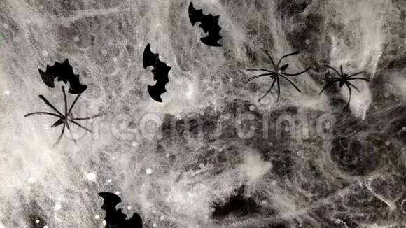 万圣节的黑背景黑蝠和蜘蛛视频的预览图