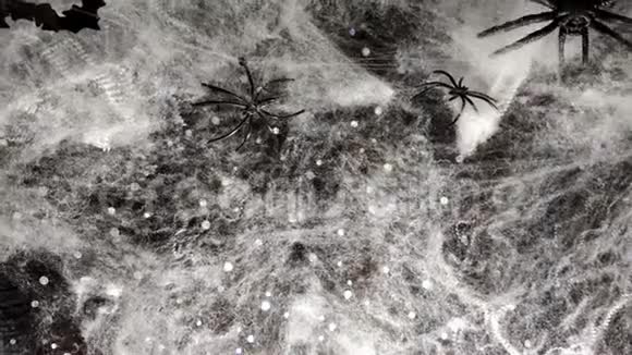 万圣节的黑背景黑蝠和蜘蛛视频的预览图