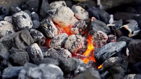 夏季用慢动作在金属烤架上特写发光的煤视频的预览图