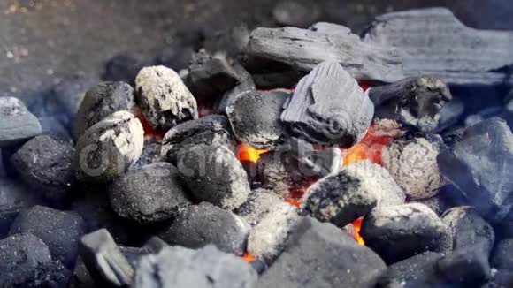 夏季用慢动作在金属烤架上特写发光的煤视频的预览图