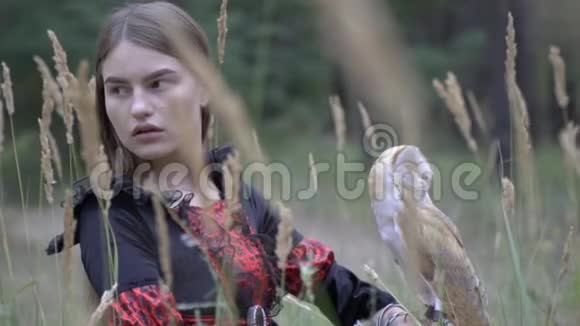 一只可爱的小猫头鹰坐在女孩手上环顾着圆锥形森林中的草地视频的预览图