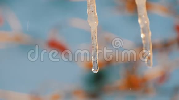 融化冰柱你可以看到流动的水滴视频的预览图