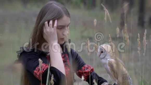 一只美丽的白猫头鹰坐在一个女孩的手调整她的头发坐在针叶林的草地上视频的预览图