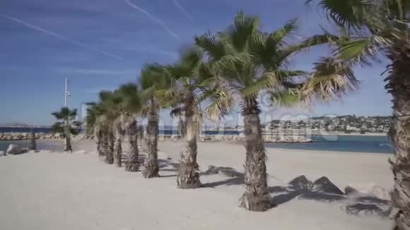 海滩背景是棕榈树和风筝手视频的预览图